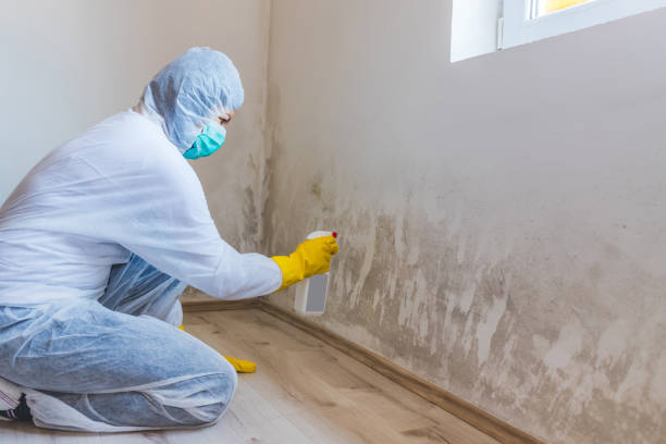 Mold Remediation specialist working in Evans